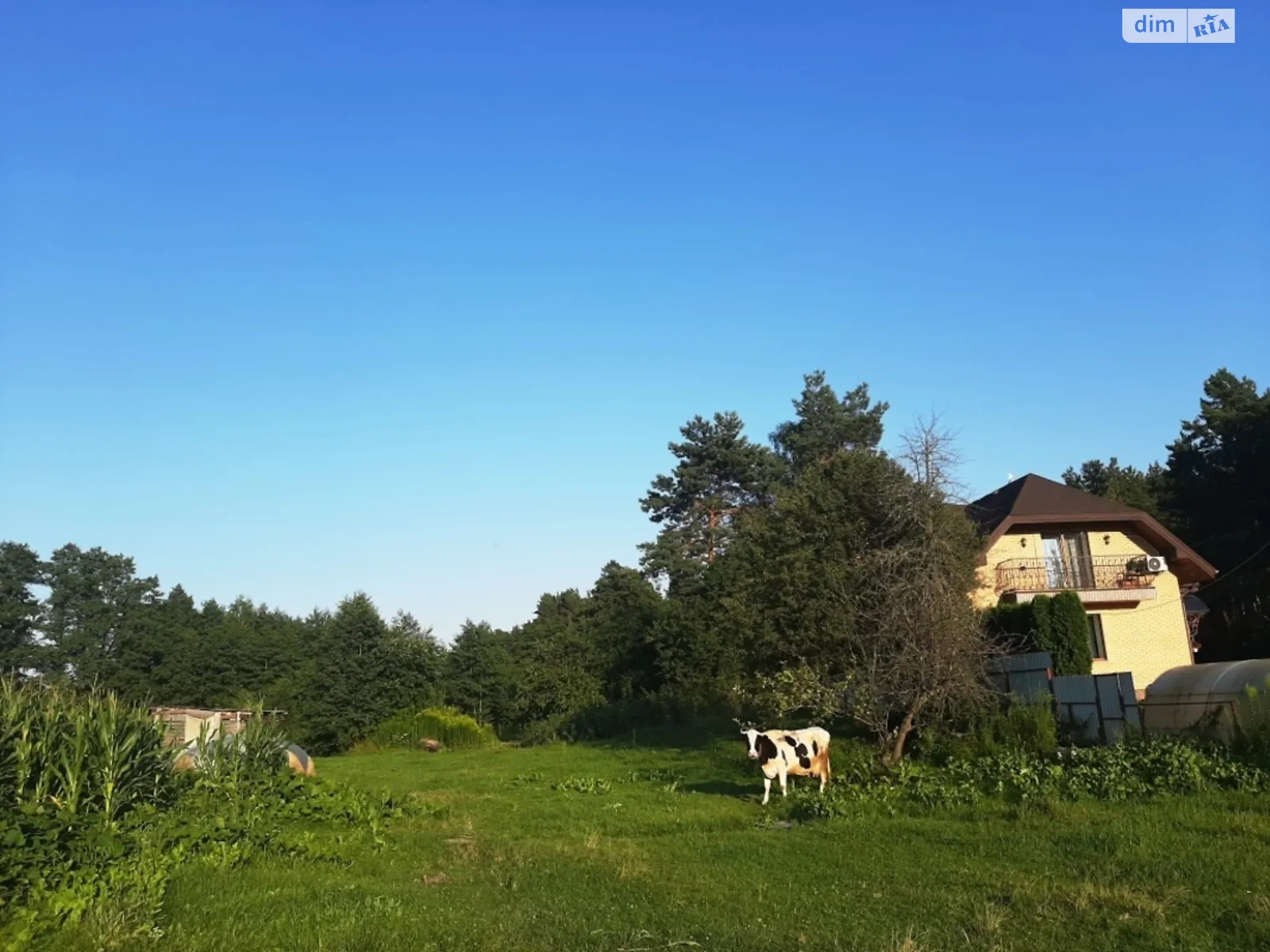 Продается земельный участок 17 соток в Житомирской области - фото 2