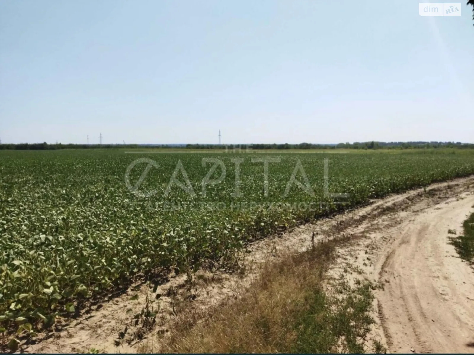 Продается земельный участок 141 соток в Киевской области - фото 3