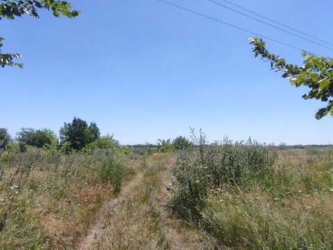 Продается земельный участок 200 соток в Кировоградской области, цена: 30000 $