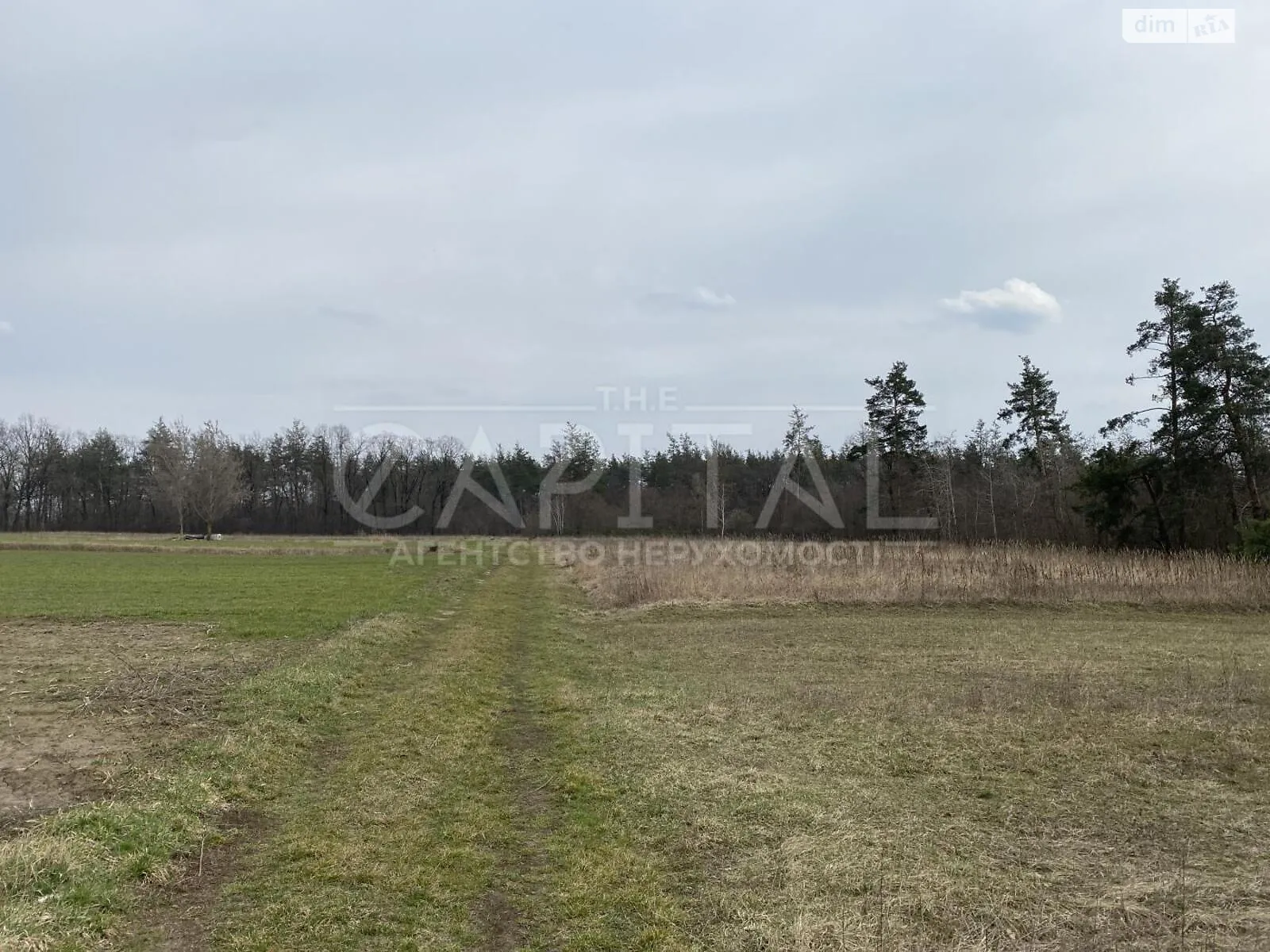 Продается земельный участок 50 соток в Киевской области, цена: 150000 $ - фото 1