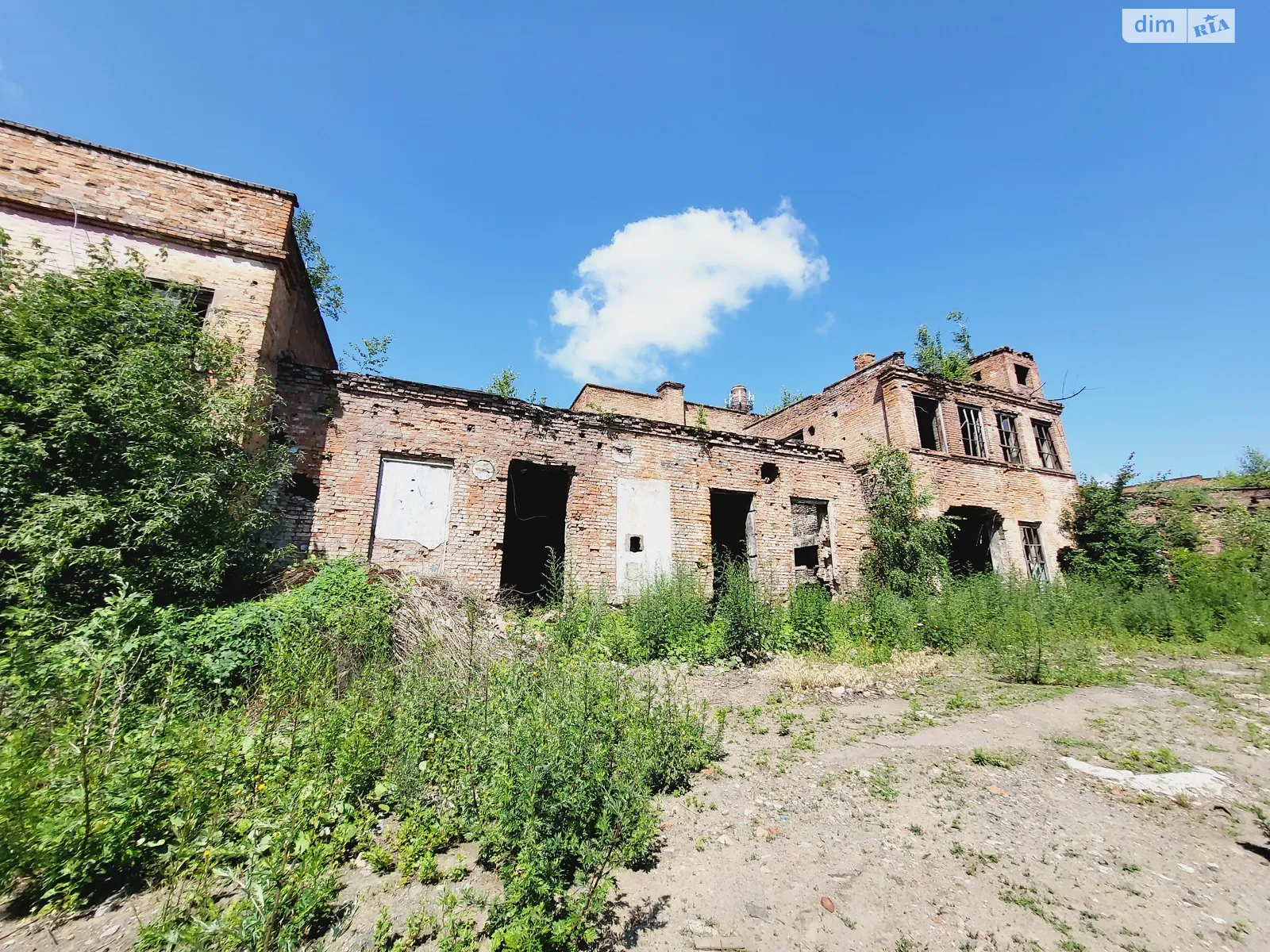 Продається земельна ділянка 70 соток у Вінницькій області - фото 4