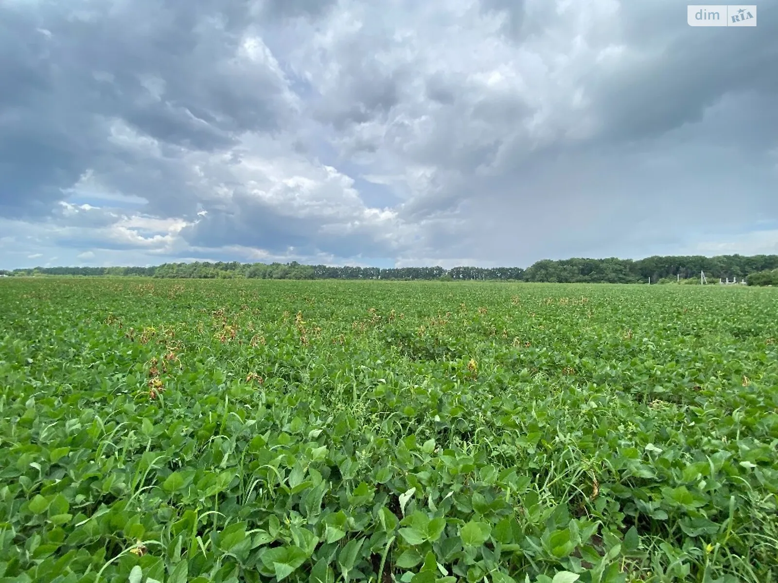Продается земельный участок 1.6 соток в Винницкой области - фото 2