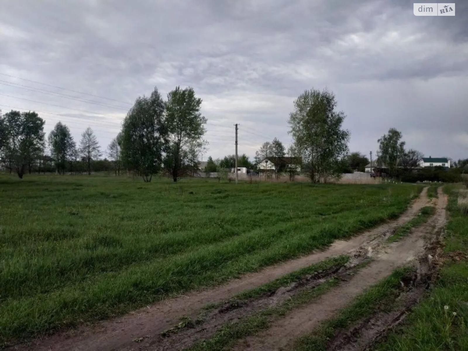 Продается земельный участок 19 соток в Черкасской области - фото 3