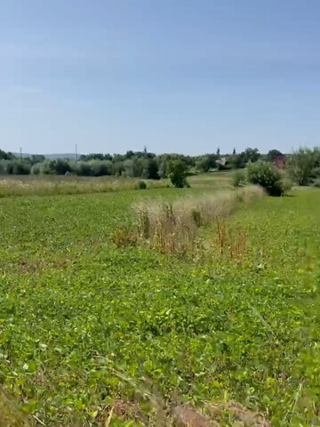 Продается земельный участок 23 соток в Черновицкой области, цена: 15000 $