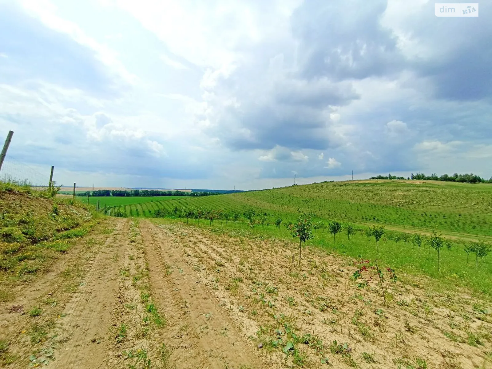 Продається земельна ділянка 30 соток у Хмельницькій області - фото 3
