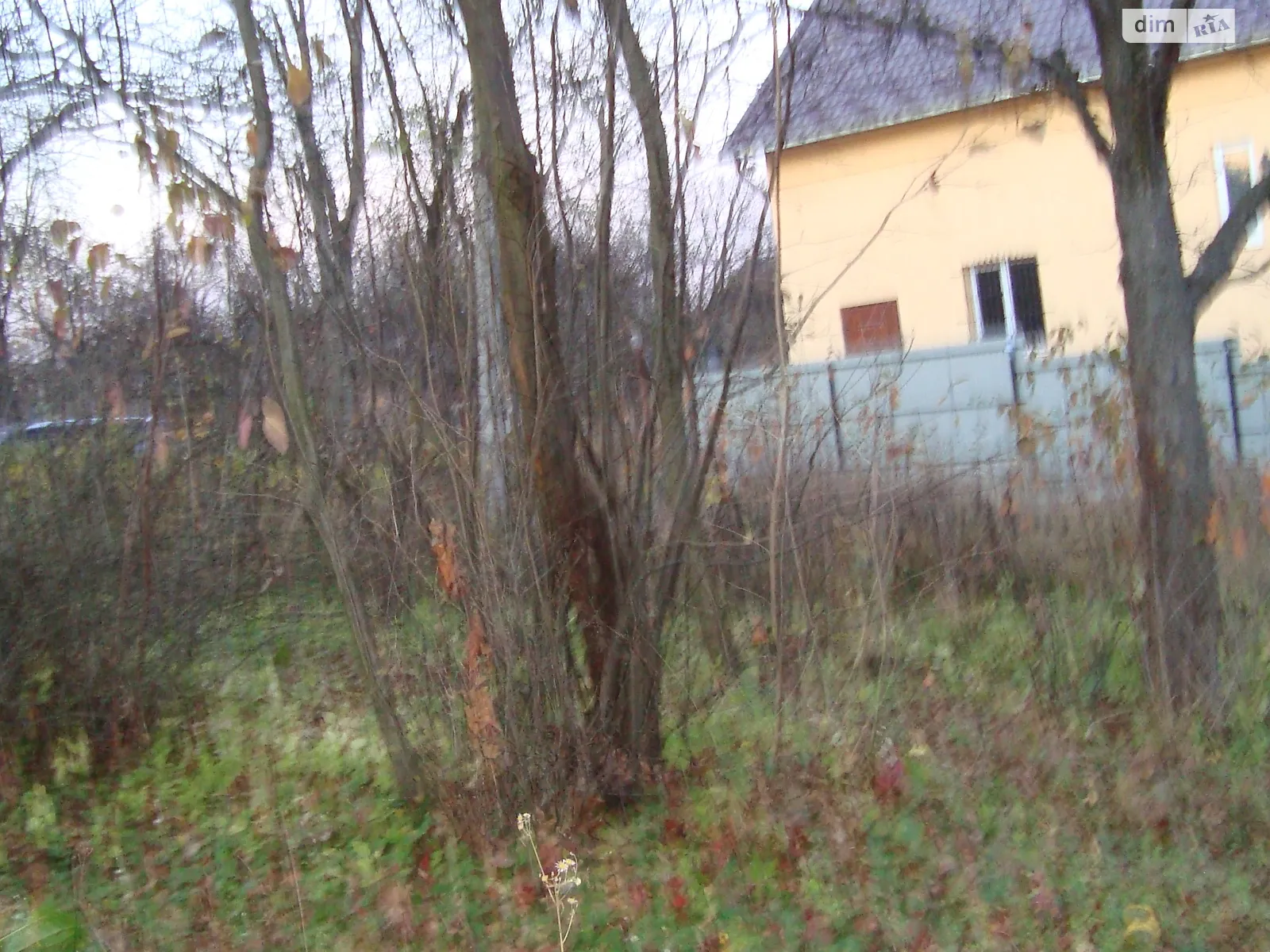 Продается земельный участок 6.5 соток в Черновицкой области - фото 2