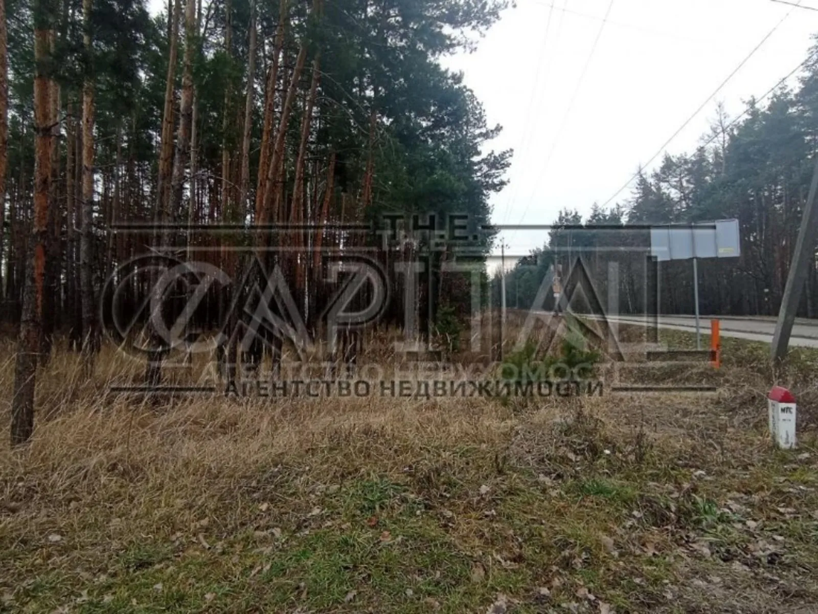 Продается земельный участок 80 соток в Киевской области, цена: 460000 $