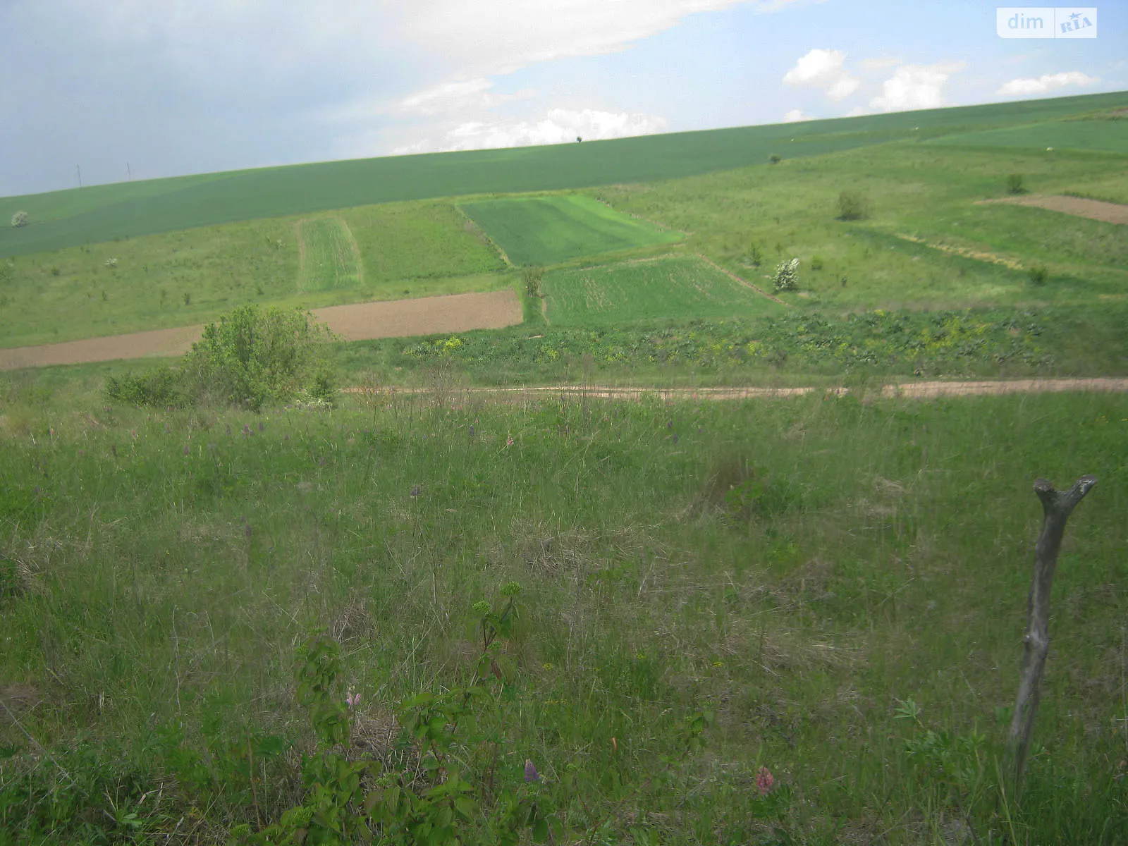 Продается земельный участок 10 соток в Тернопольской области, цена: 7000 $