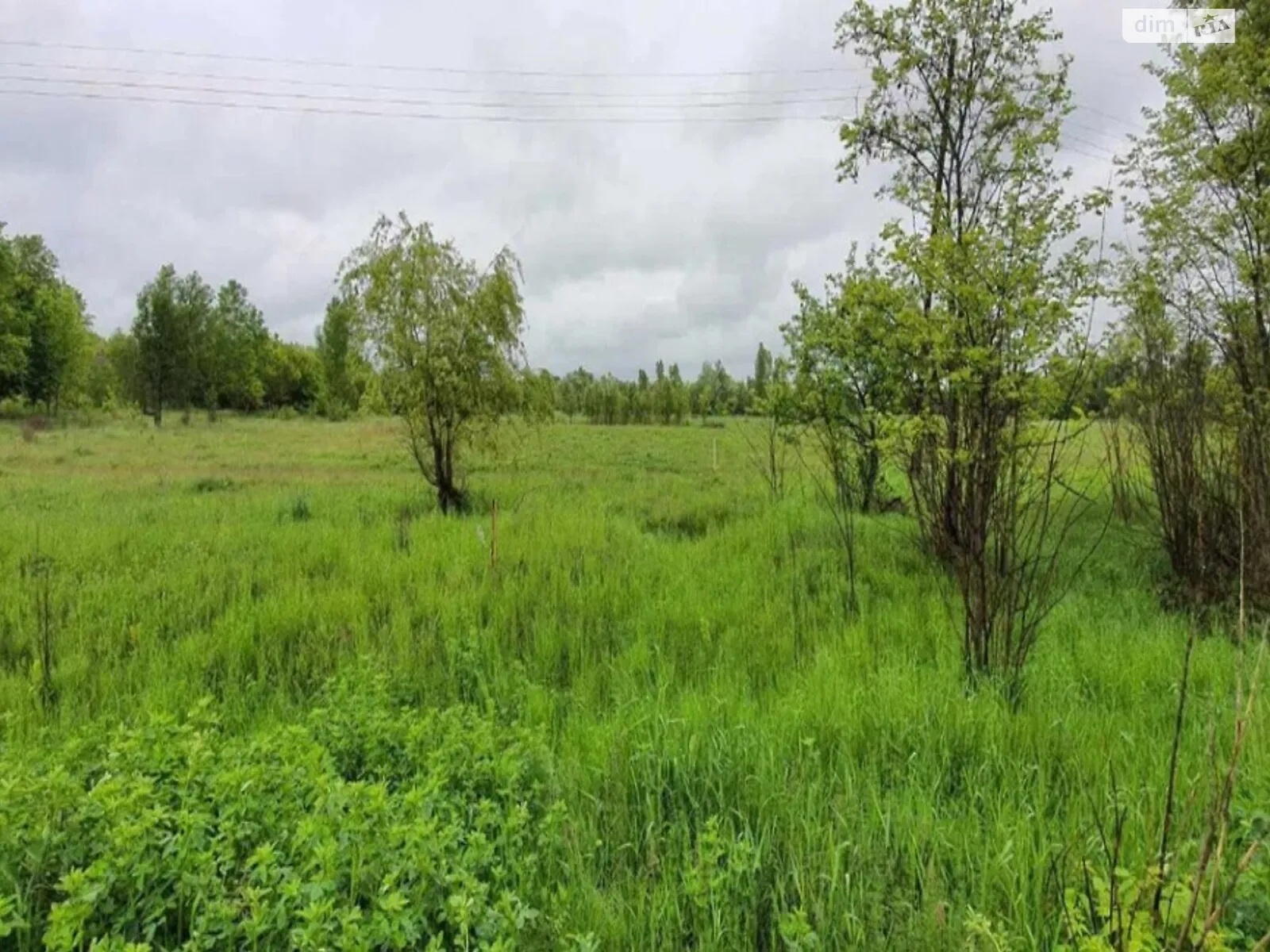 Продається земельна ділянка 400 соток у Житомирській області - фото 3