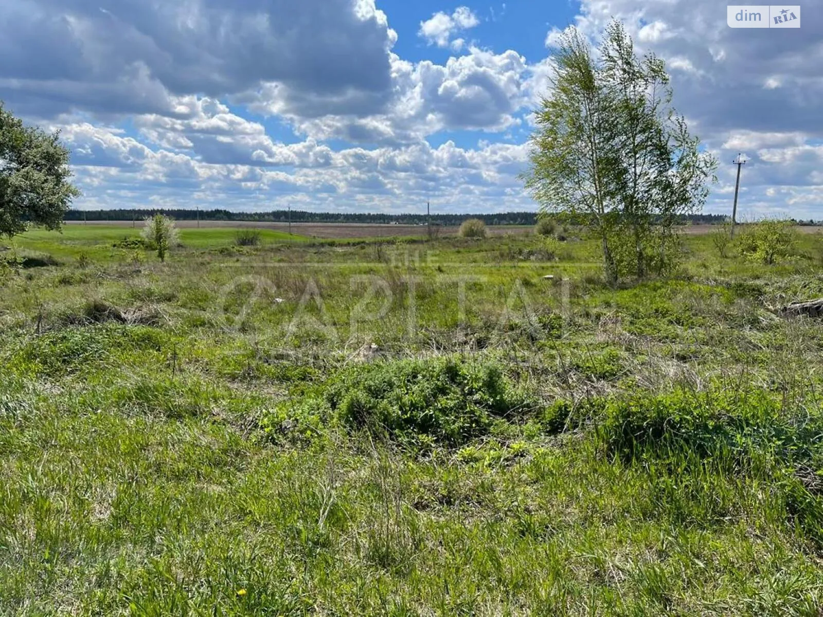 Продається земельна ділянка 205 соток у Київській області, цена: 175000 $