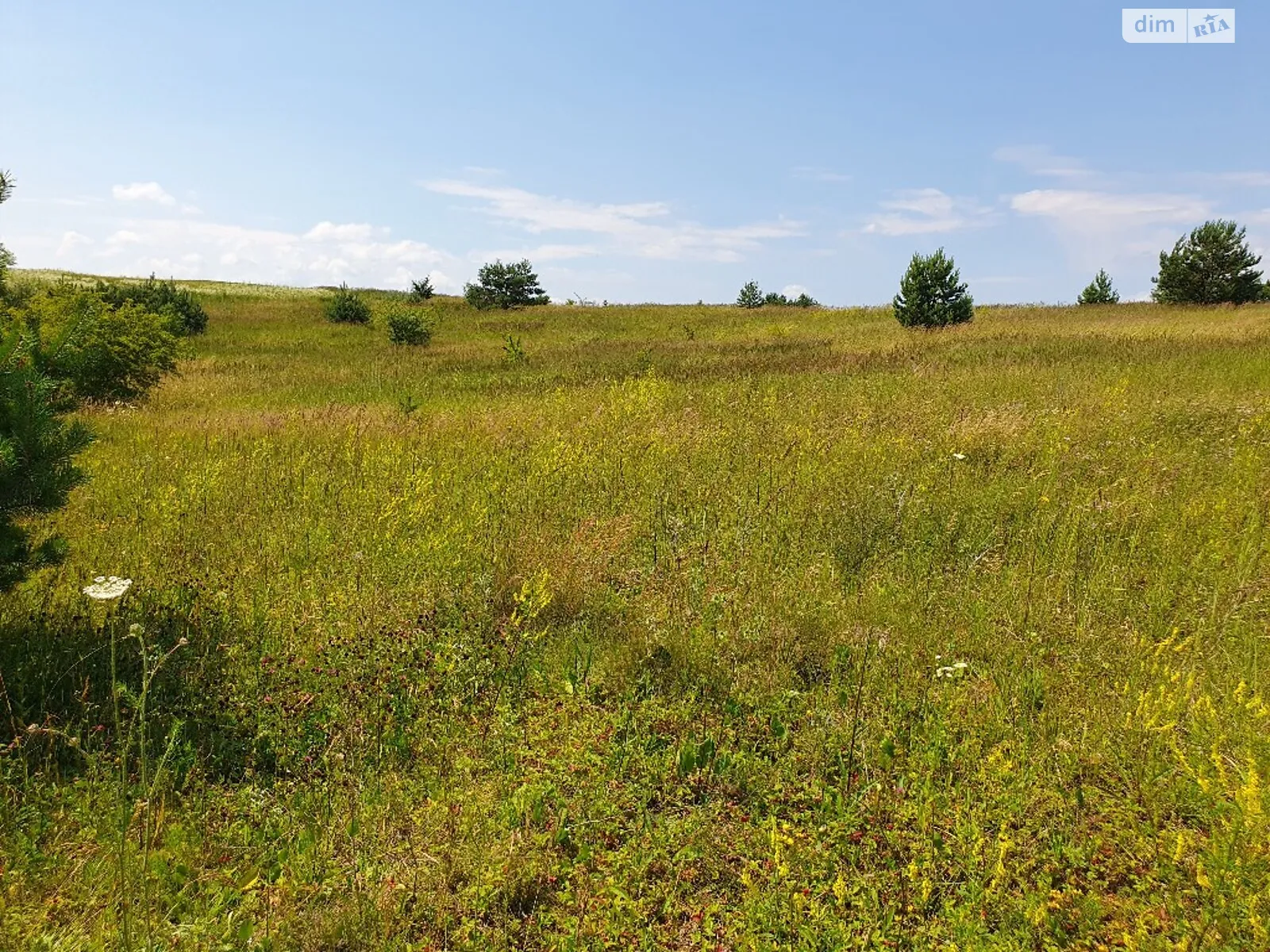 Продается земельный участок 11.7 соток в Тернопольской области - фото 3