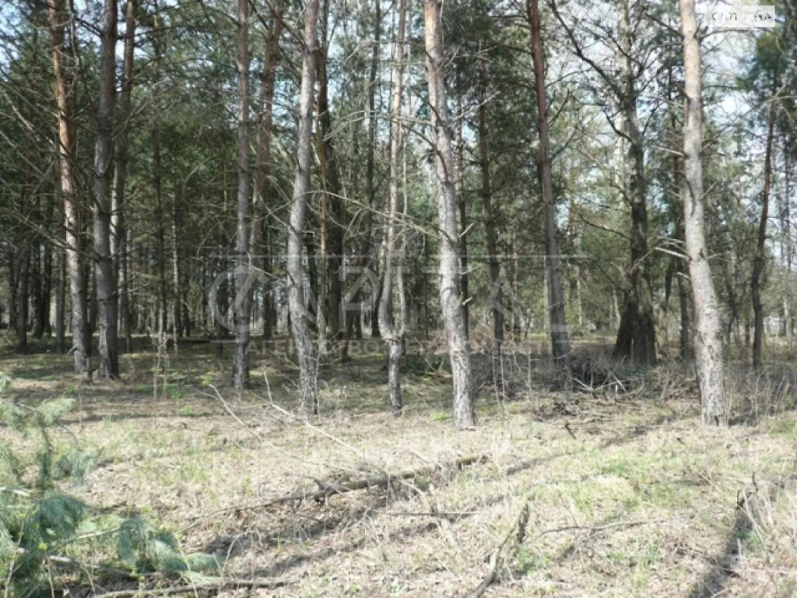 Продается земельный участок 1000 соток в Киевской области, цена: 600000 $ - фото 1