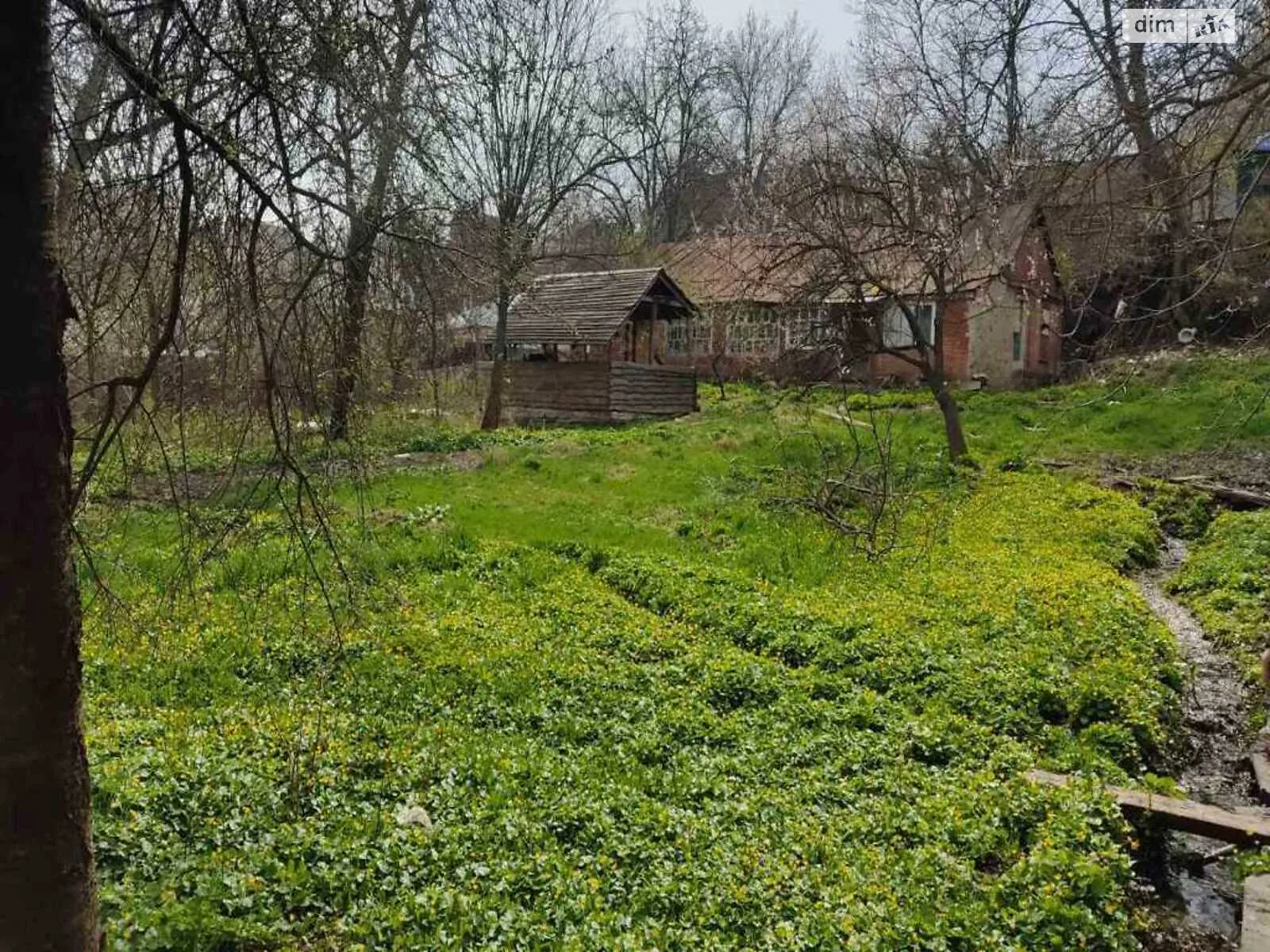 Продається земельна ділянка 8 соток у Полтавській області - фото 2