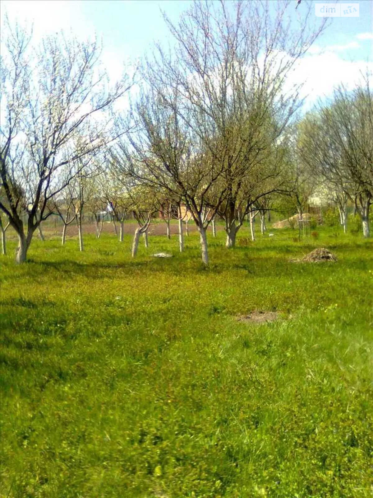 Продается земельный участок 24 соток в Полтавской области - фото 2
