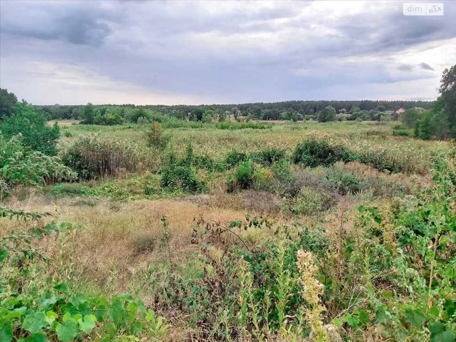 Продається земельна ділянка 10 соток у Полтавській області - фото 3