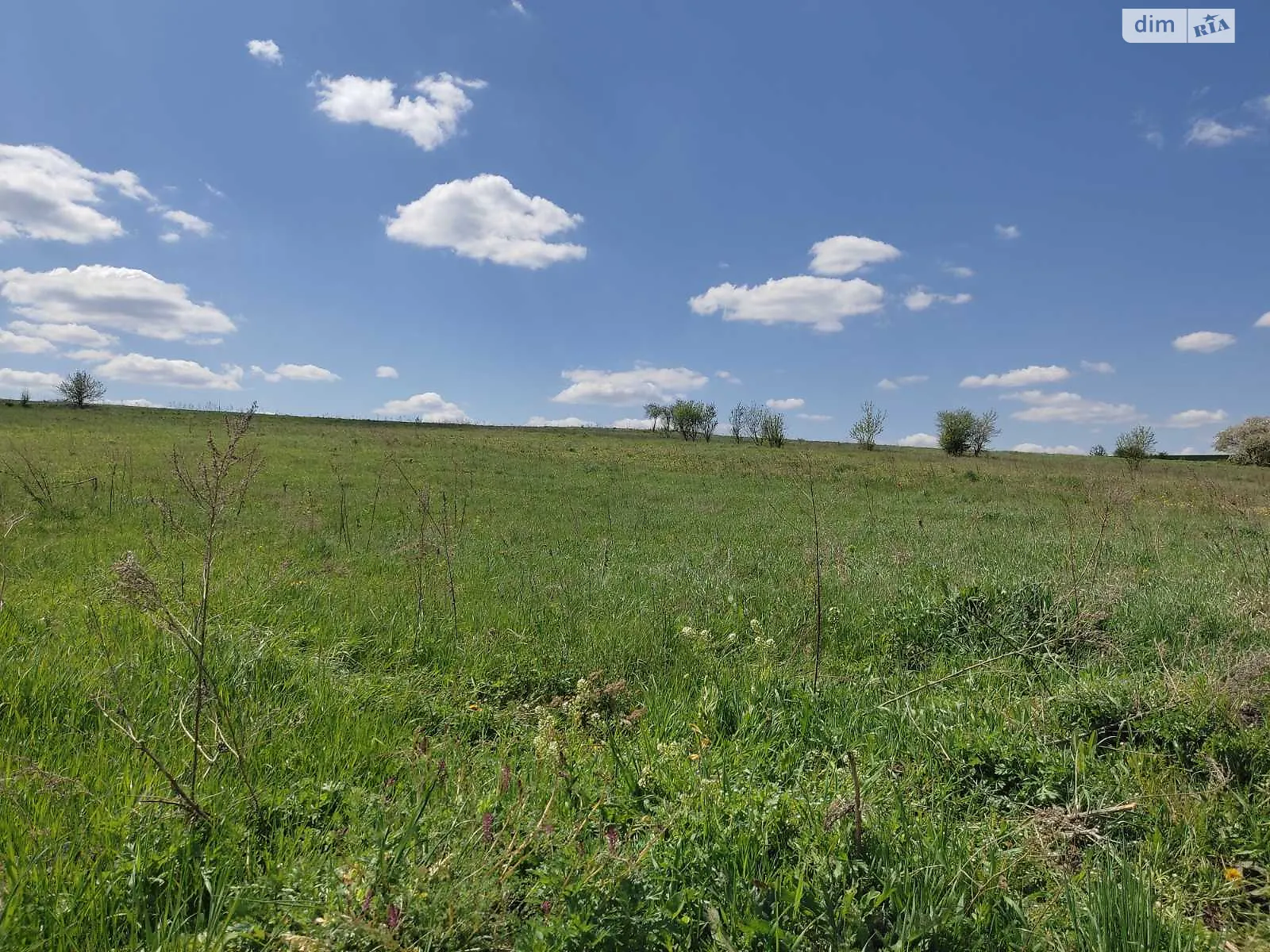 Продается земельный участок 12.5 соток в Тернопольской области - фото 3