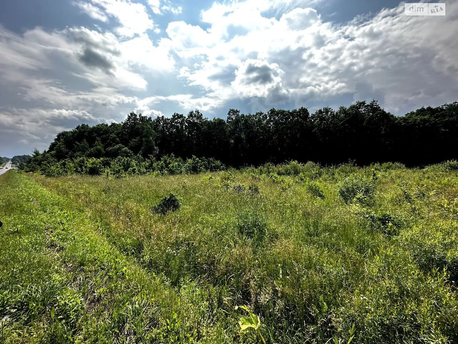 Продается земельный участок 50 соток в Ивано-Франковской области - фото 3