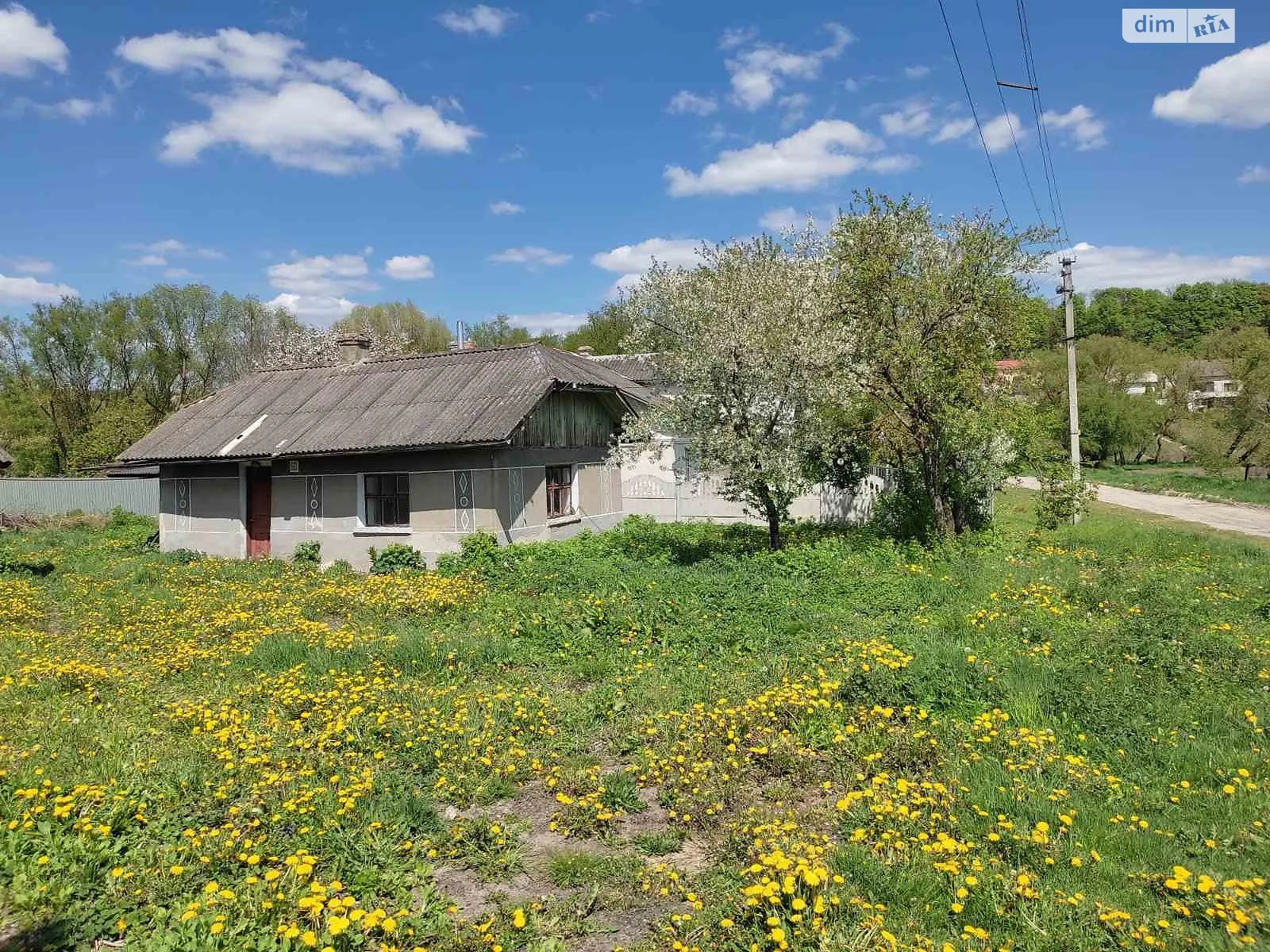Продается земельный участок 36 соток в Тернопольской области - фото 3