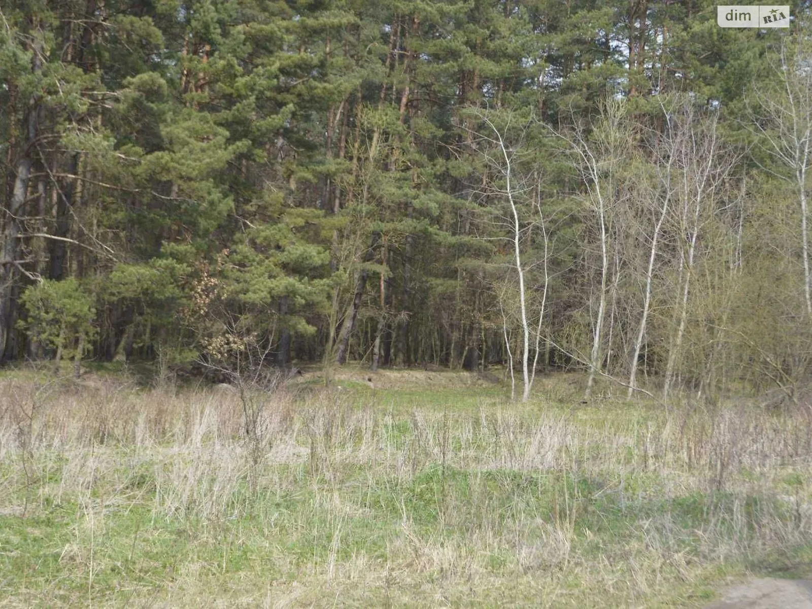 Продается земельный участок 33 соток в Львовской области - фото 3