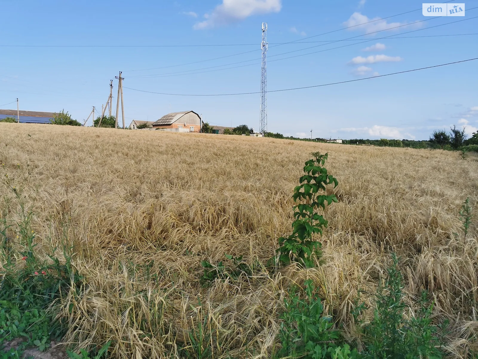 Продається земельна ділянка 31 соток у Вінницькій області, цена: 8500 $