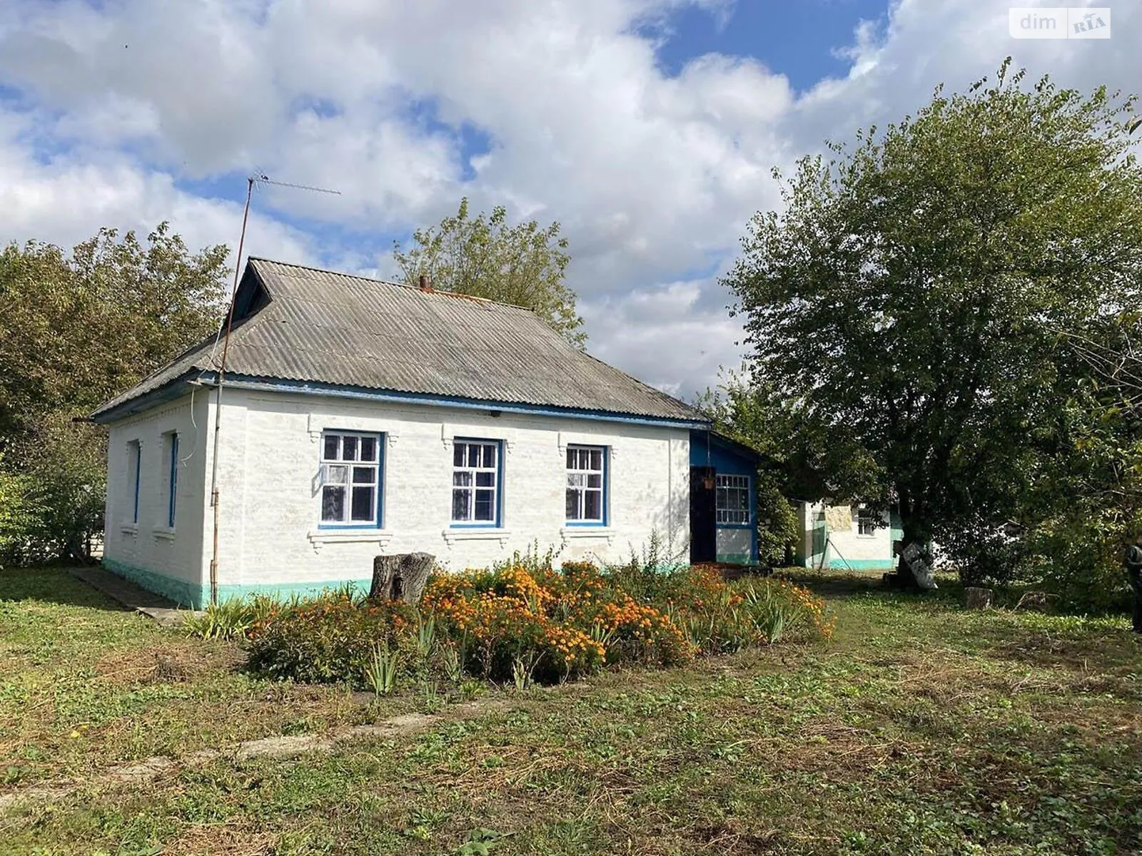 Вишневая, 119 Станиславчик (Ставище), цена: 4500 $