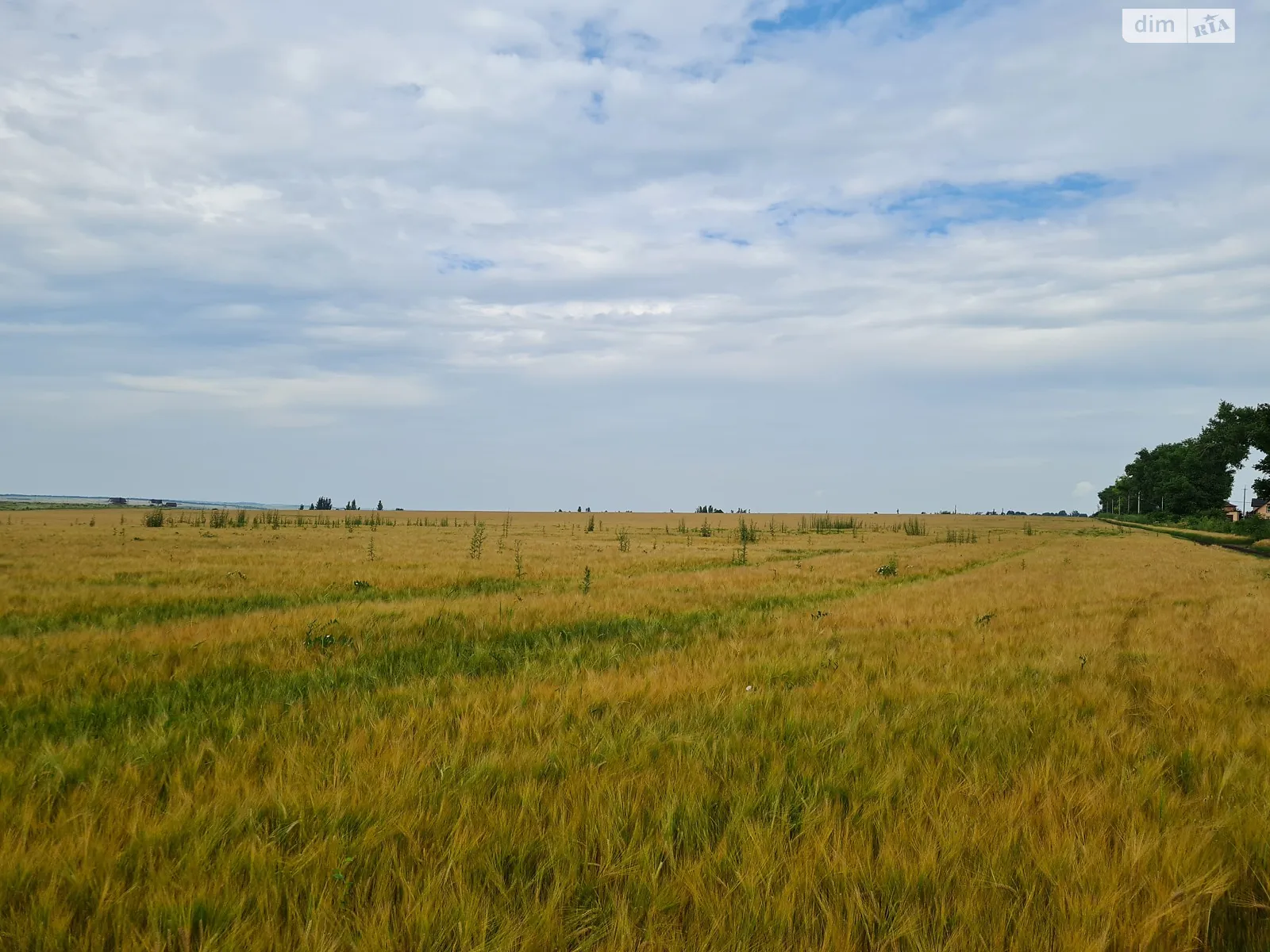 Продається земельна ділянка 1.75 соток у Хмельницькій області - фото 2