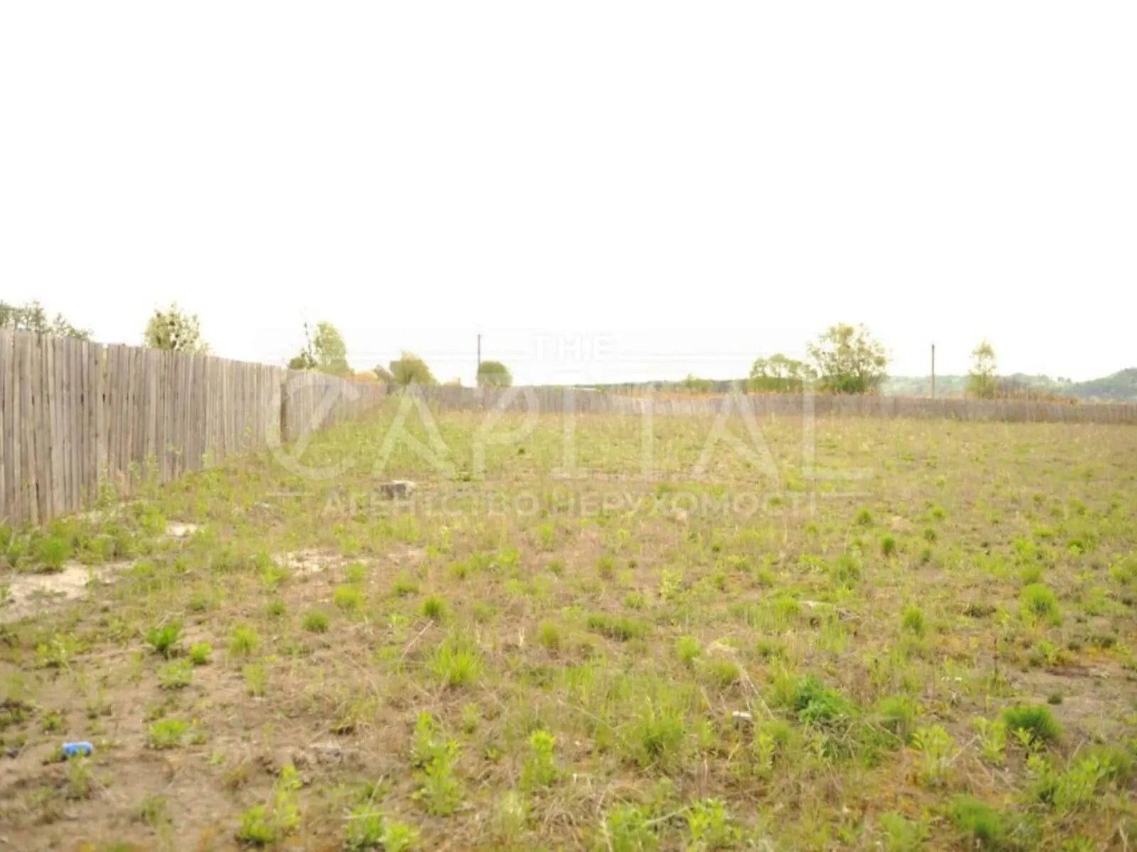 Продается земельный участок 60 соток в Киевской области - фото 3