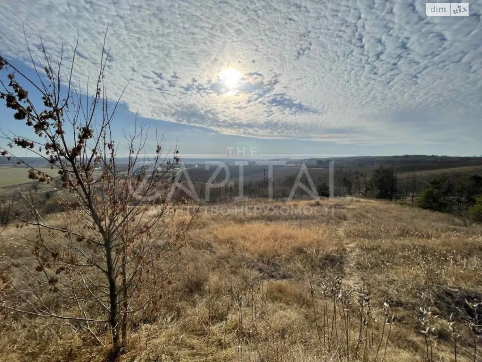 Продається земельна ділянка 720 соток у Київській області, цена: 390000 $