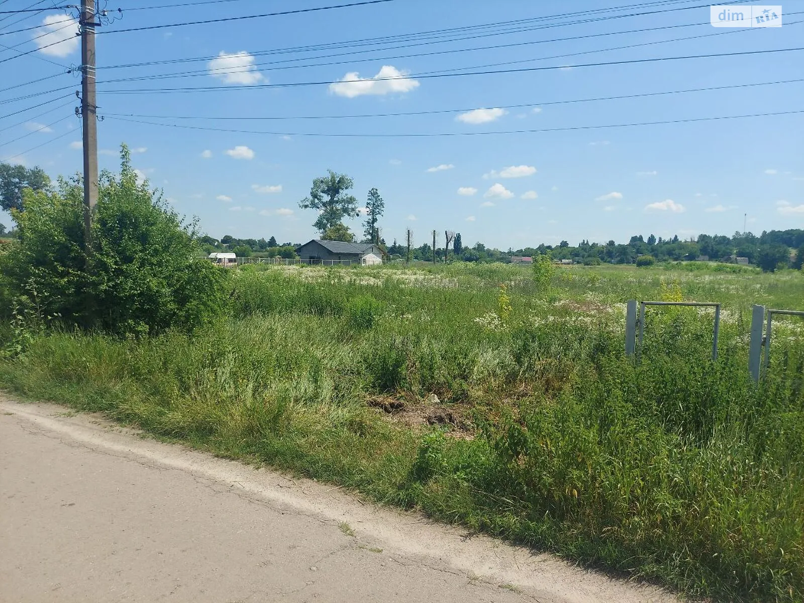 Продается земельный участок 75 соток в Житомирской области - фото 3