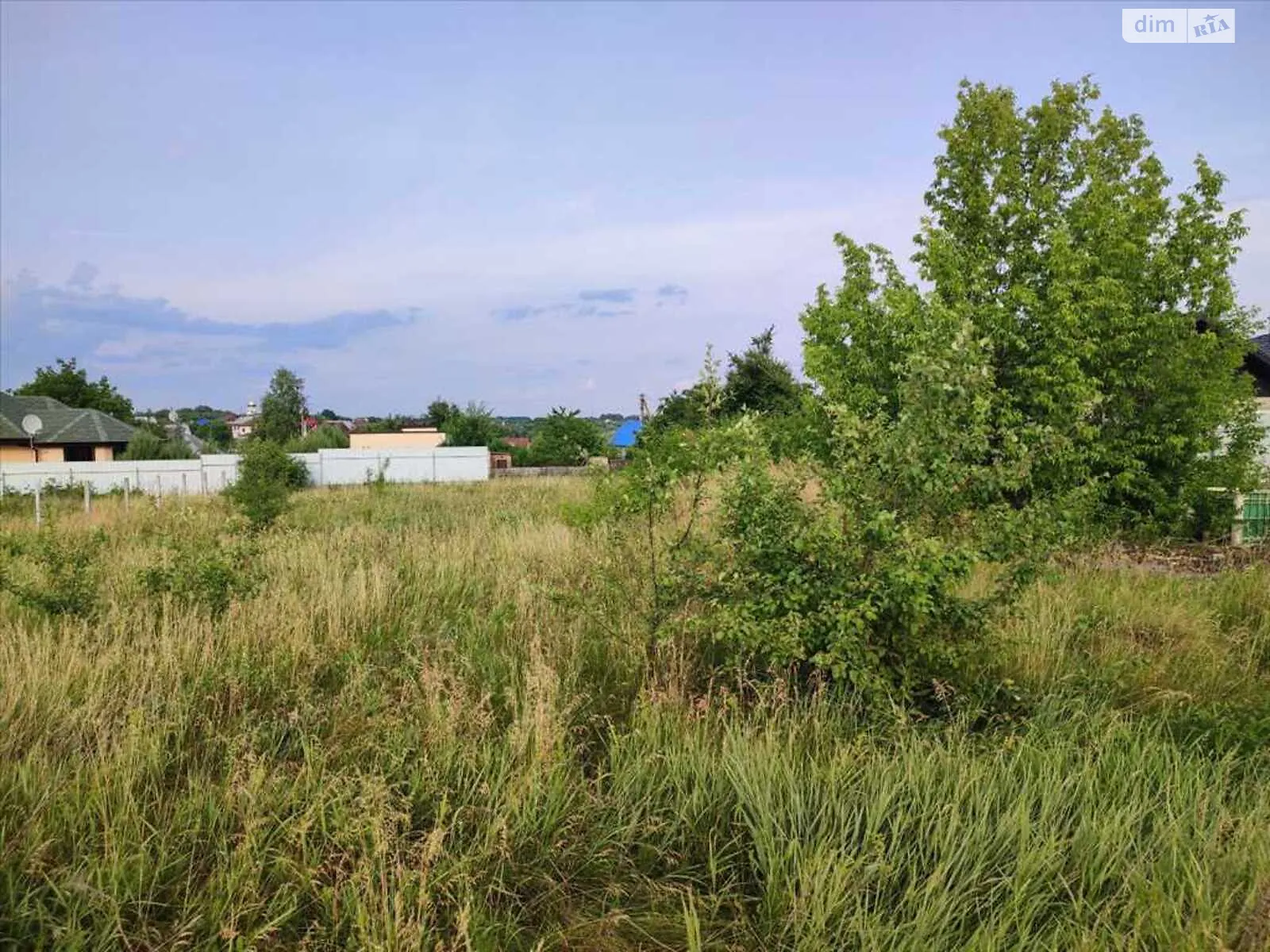Продається земельна ділянка 9 соток у Полтавській області - фото 2