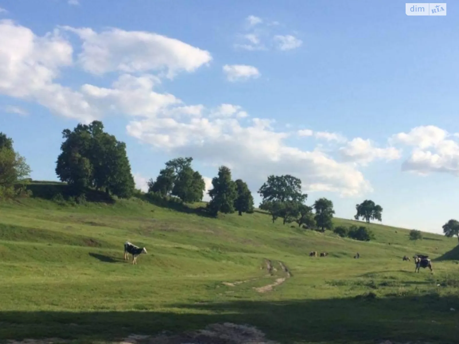 Продається земельна ділянка 10 соток у Рівненській області, цена: 32000 $ - фото 1