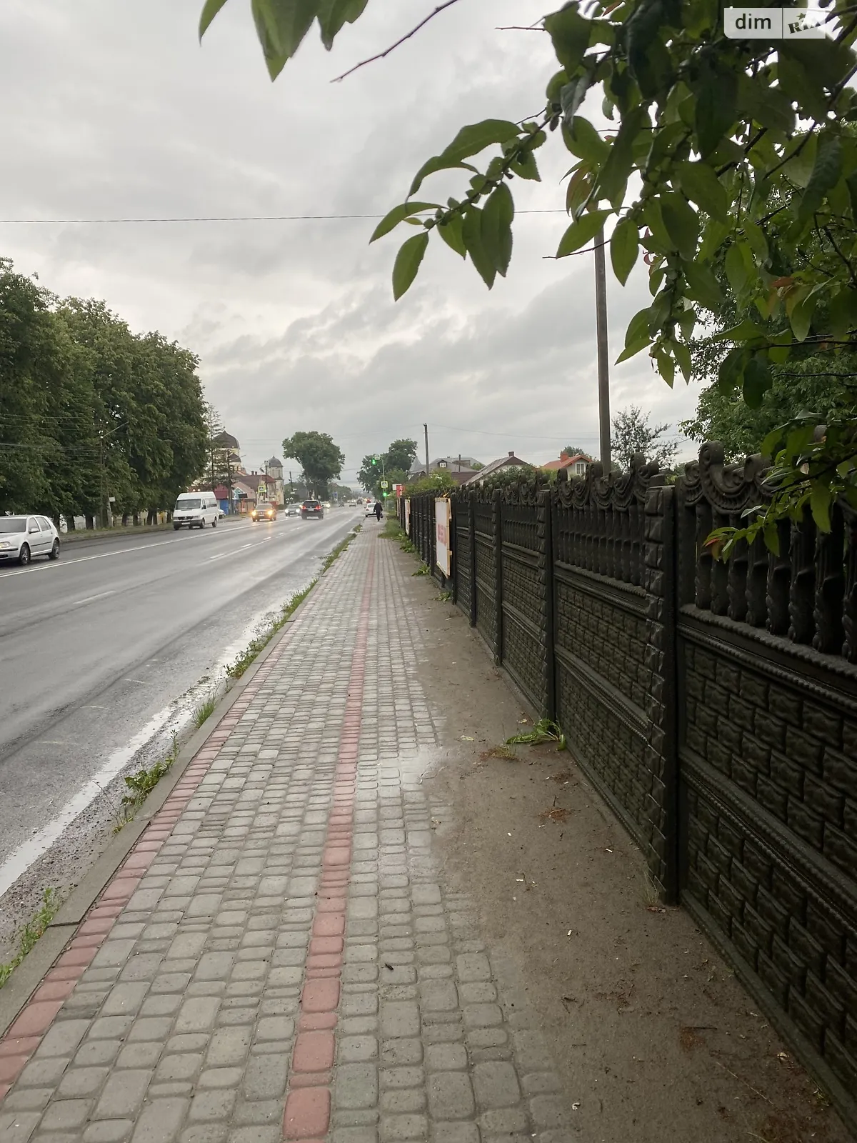 Продается земельный участок 32 соток в Черновицкой области - фото 2
