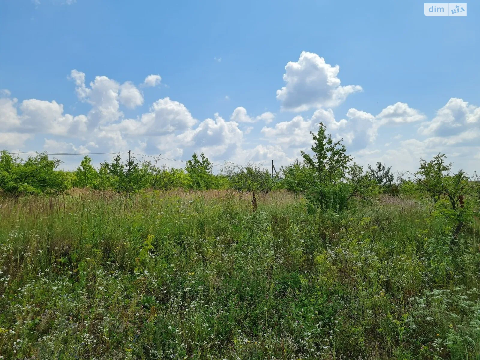 Продается земельный участок 9 соток в Хмельницкой области, цена: 41000 $ - фото 1