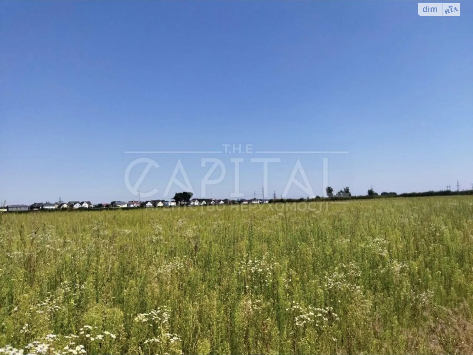Продается земельный участок 141 соток в Киевской области - фото 2