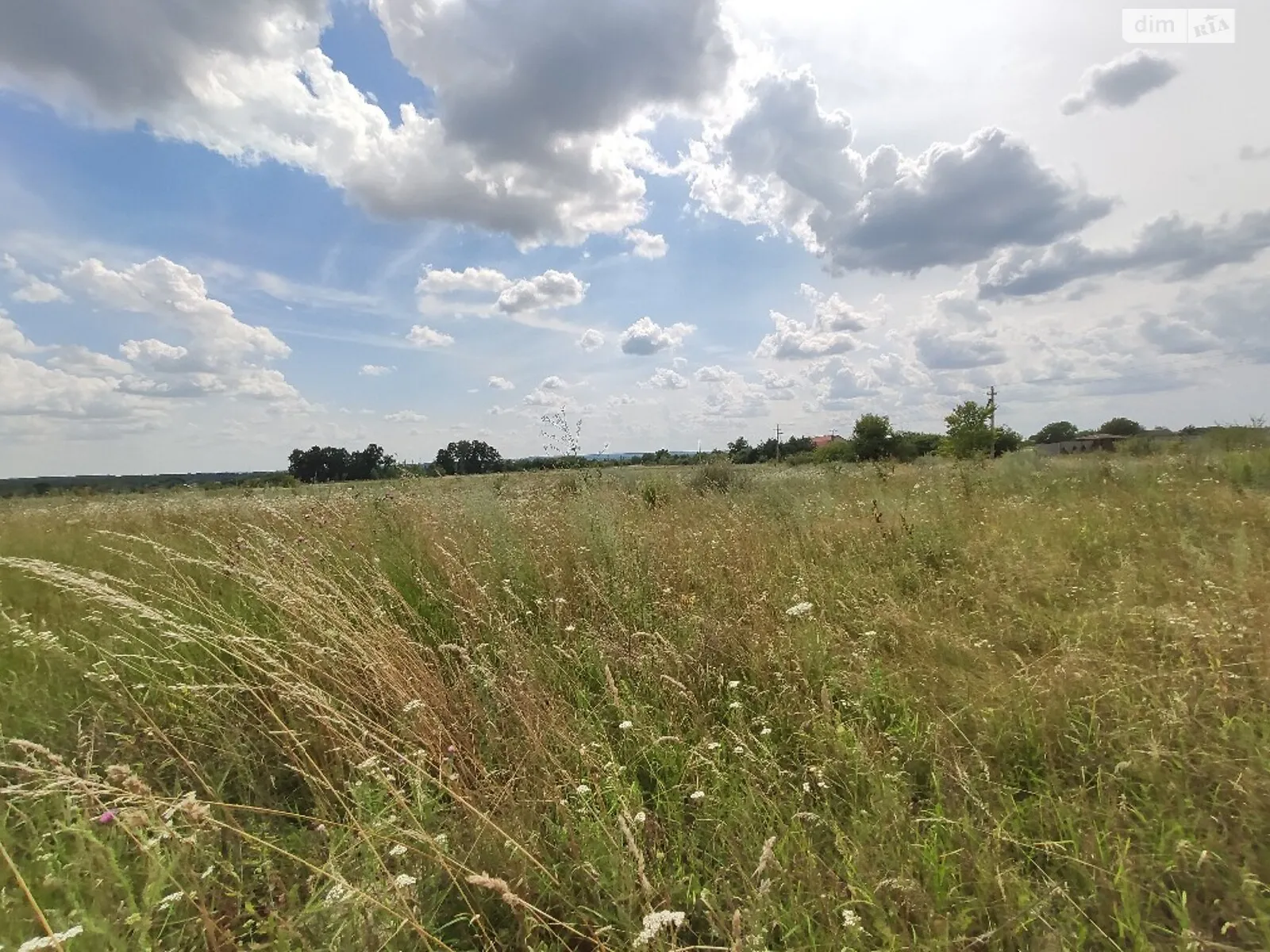 Продается земельный участок 9 соток в Винницкой области - фото 4