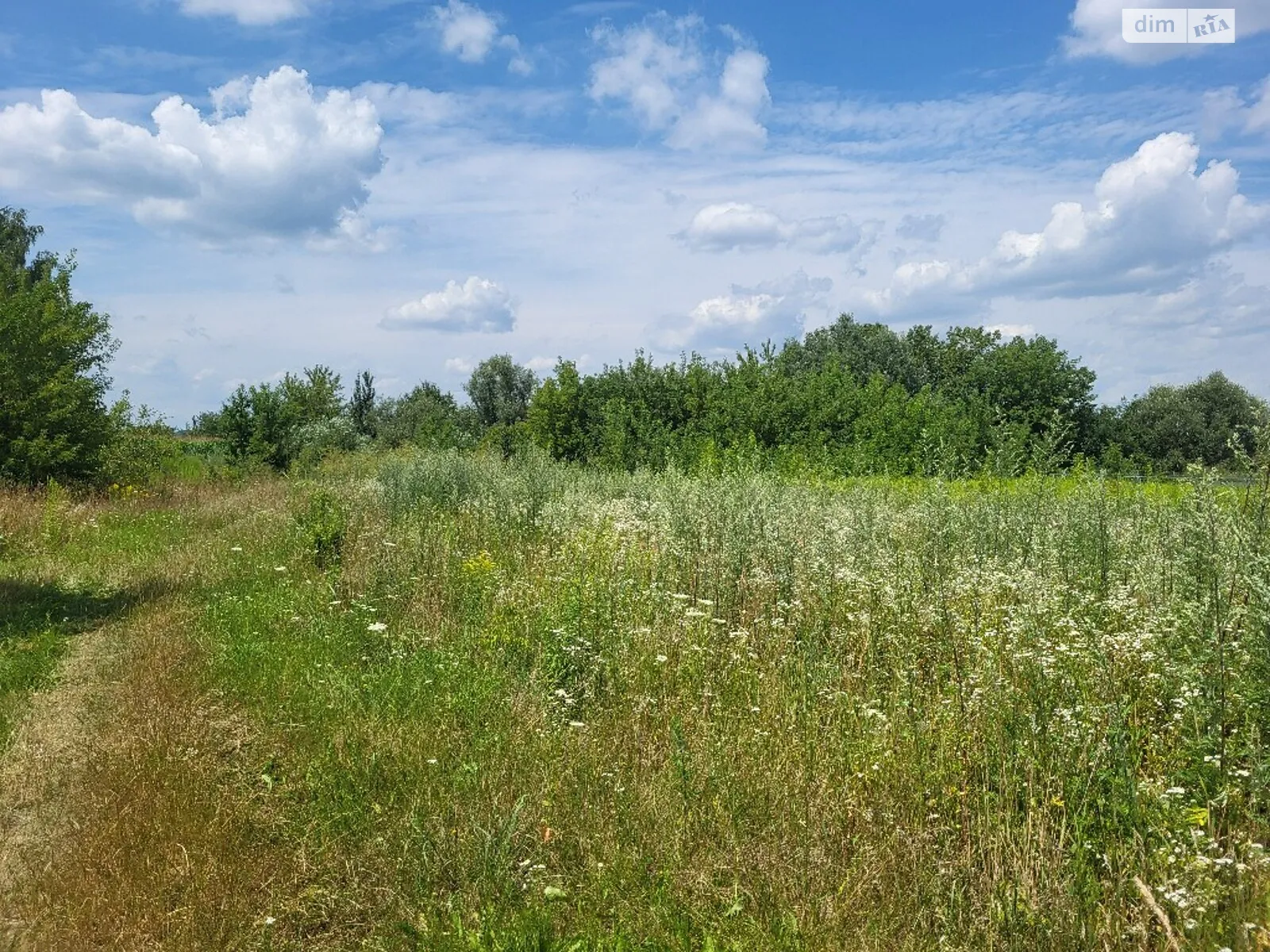 Продається земельна ділянка 12 соток у Вінницькій області, цена: 15800 $