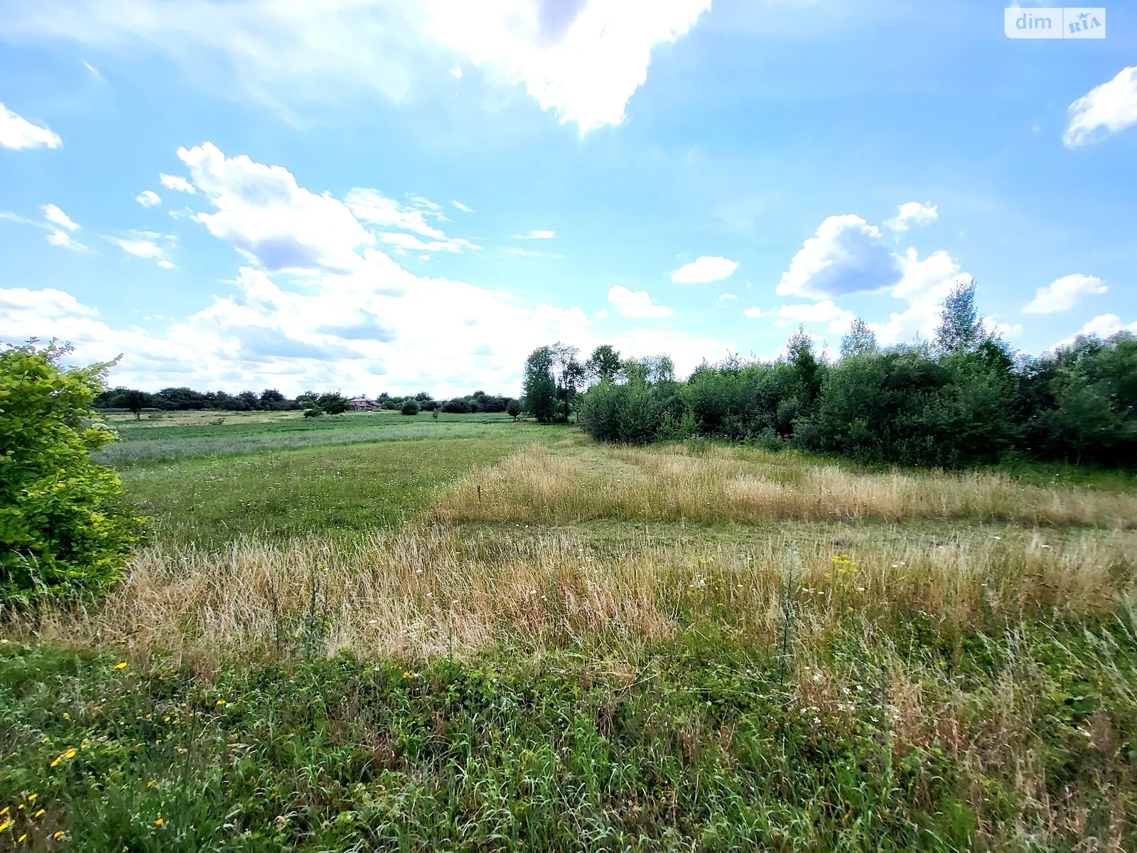 Продается земельный участок 60 соток в Винницкой области - фото 2