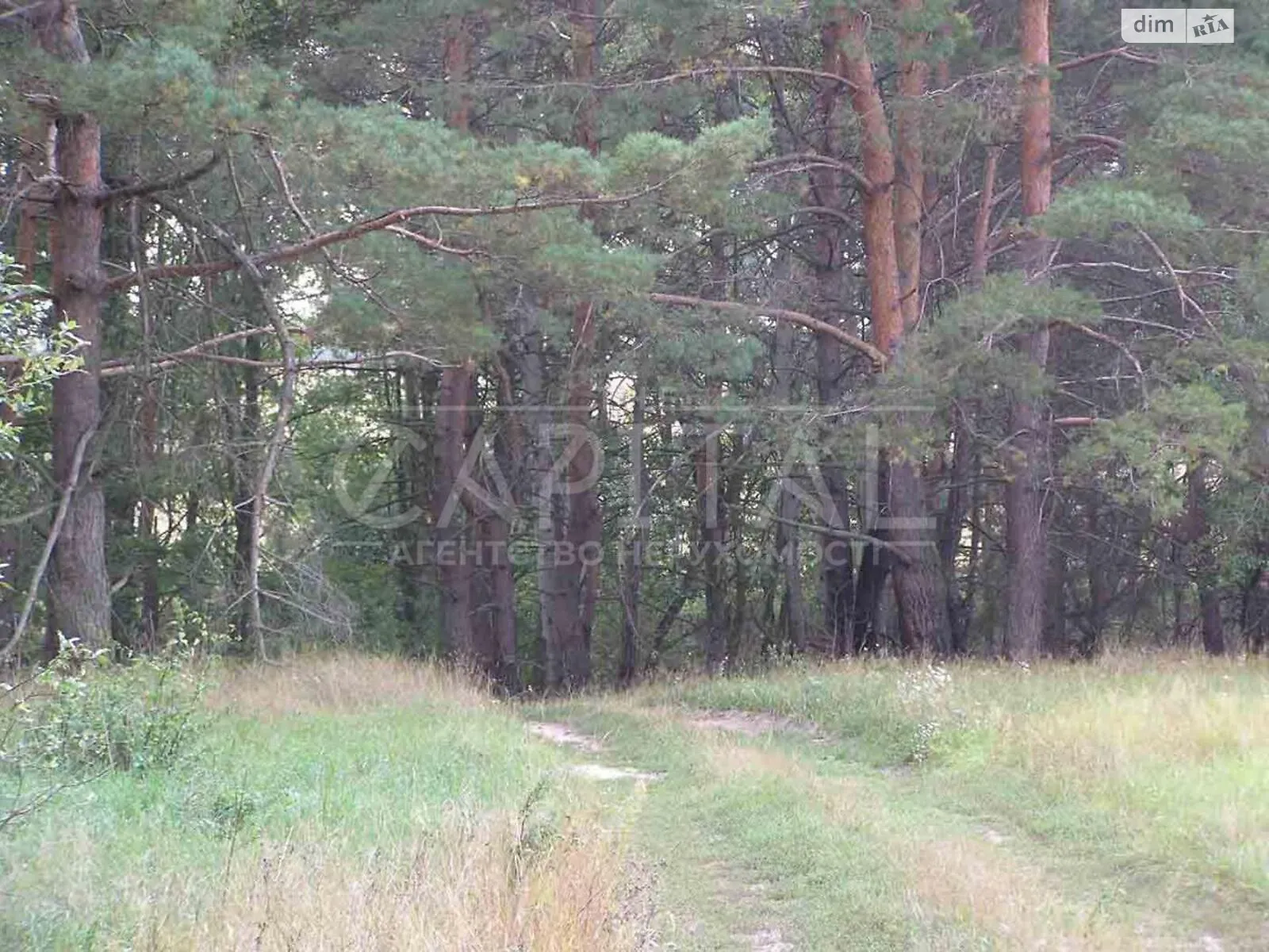 Продается земельный участок 346 соток в Киевской области - фото 3