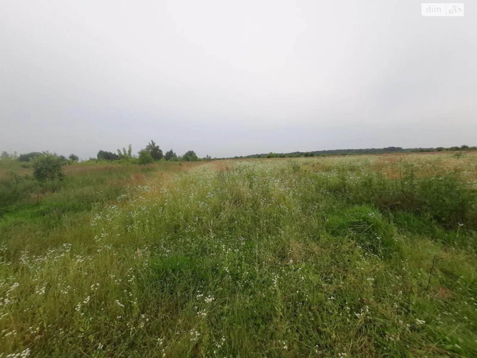 Продается земельный участок 8.71 соток в Ивано-Франковской области - фото 3