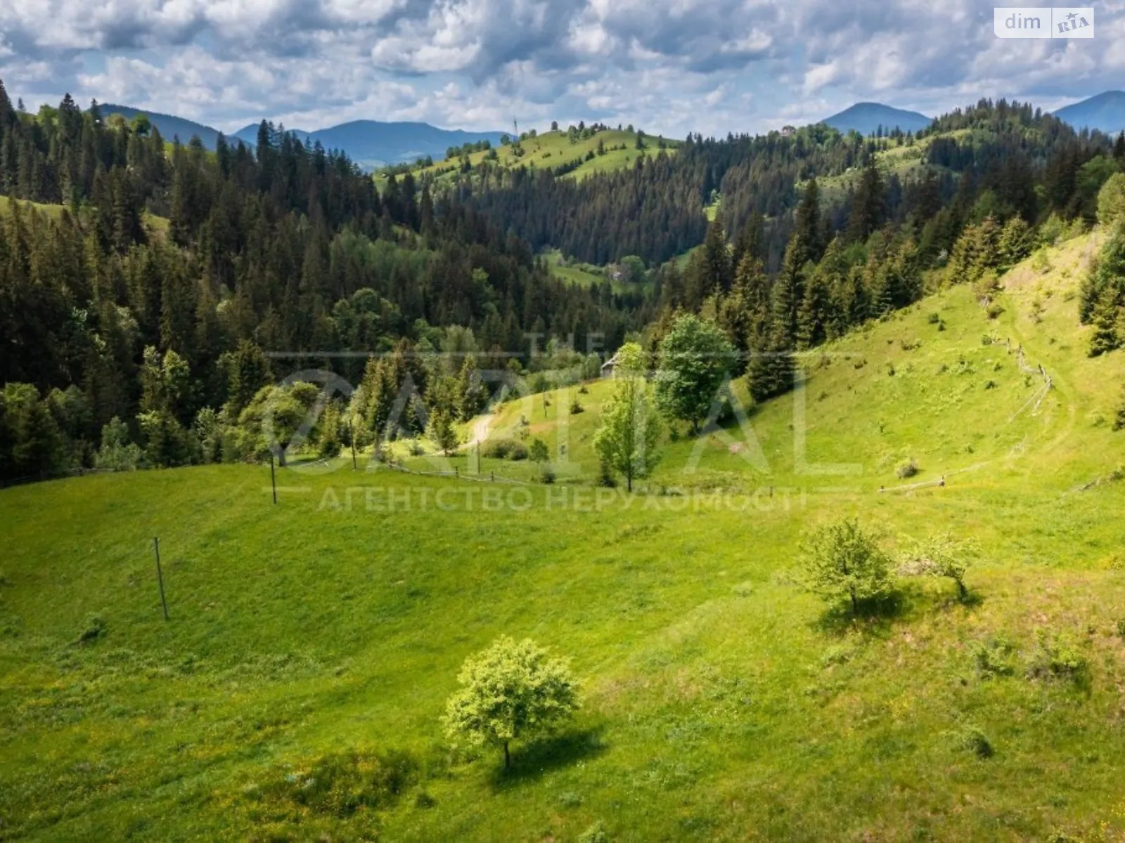 ул. Грушевского Верховина,Ивано-Франковск   - фото 3