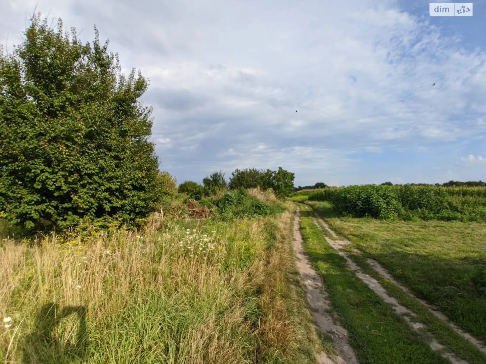 Продается земельный участок 16 соток в Черкасской области - фото 2
