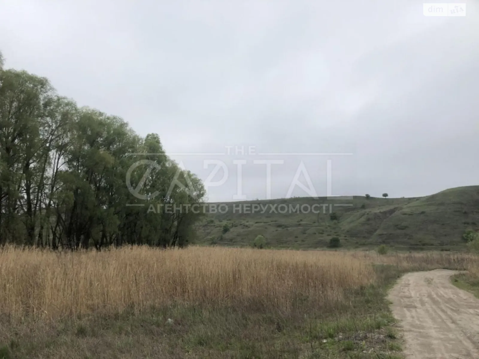 Ходосовка Ходосовка (Киево-Святошинский), цена: 3200000 $ - фото 1