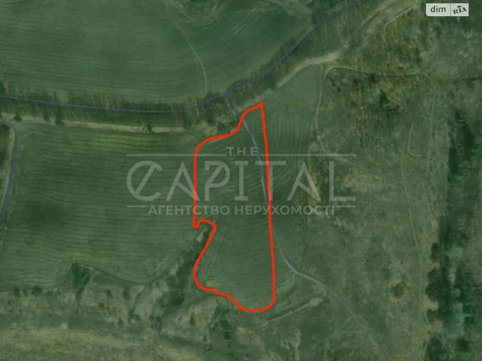 Продається земельна ділянка 263 соток у Київській області - фото 2