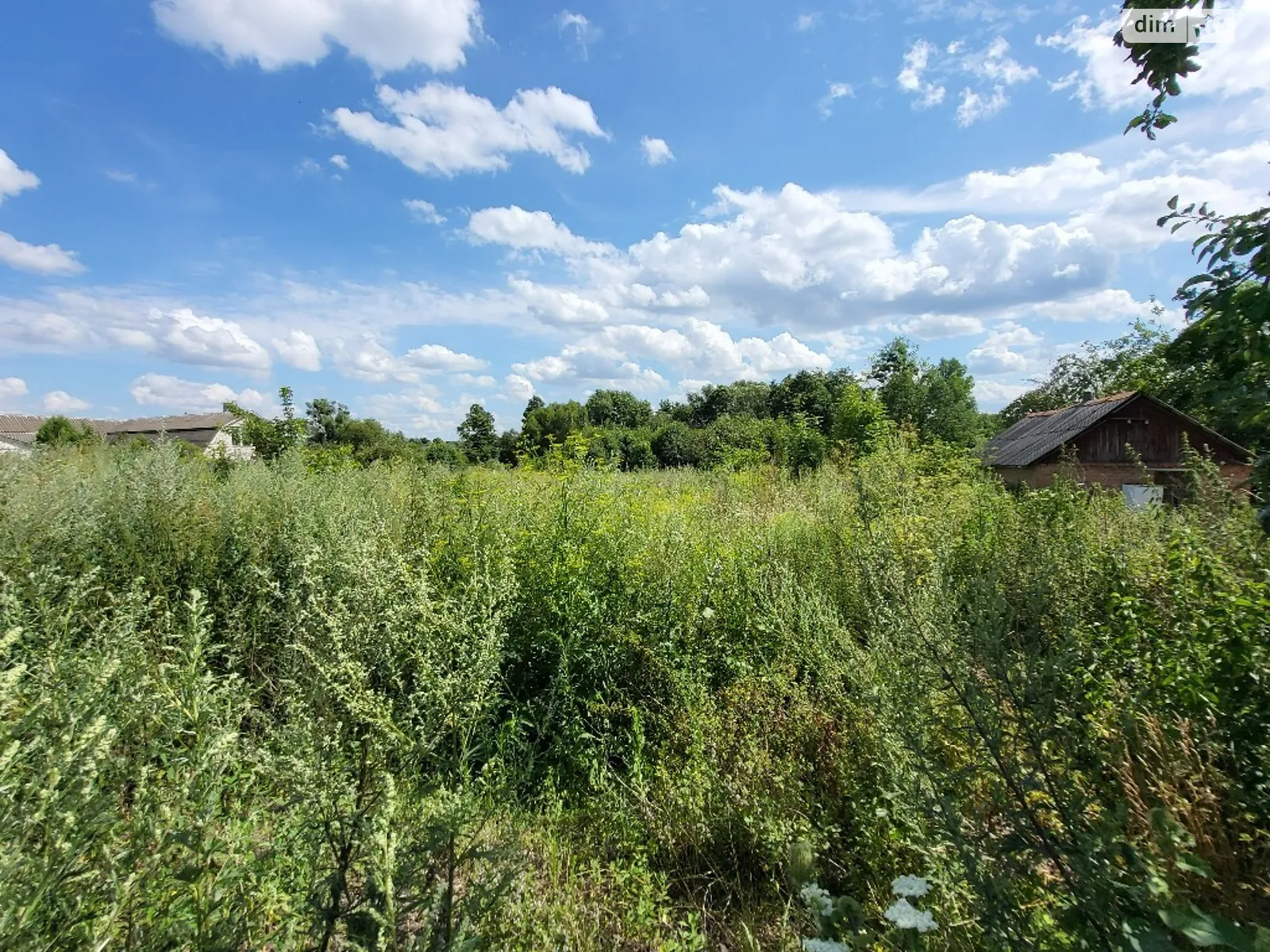 Продається земельна ділянка 21.5 соток у Вінницькій області - фото 3