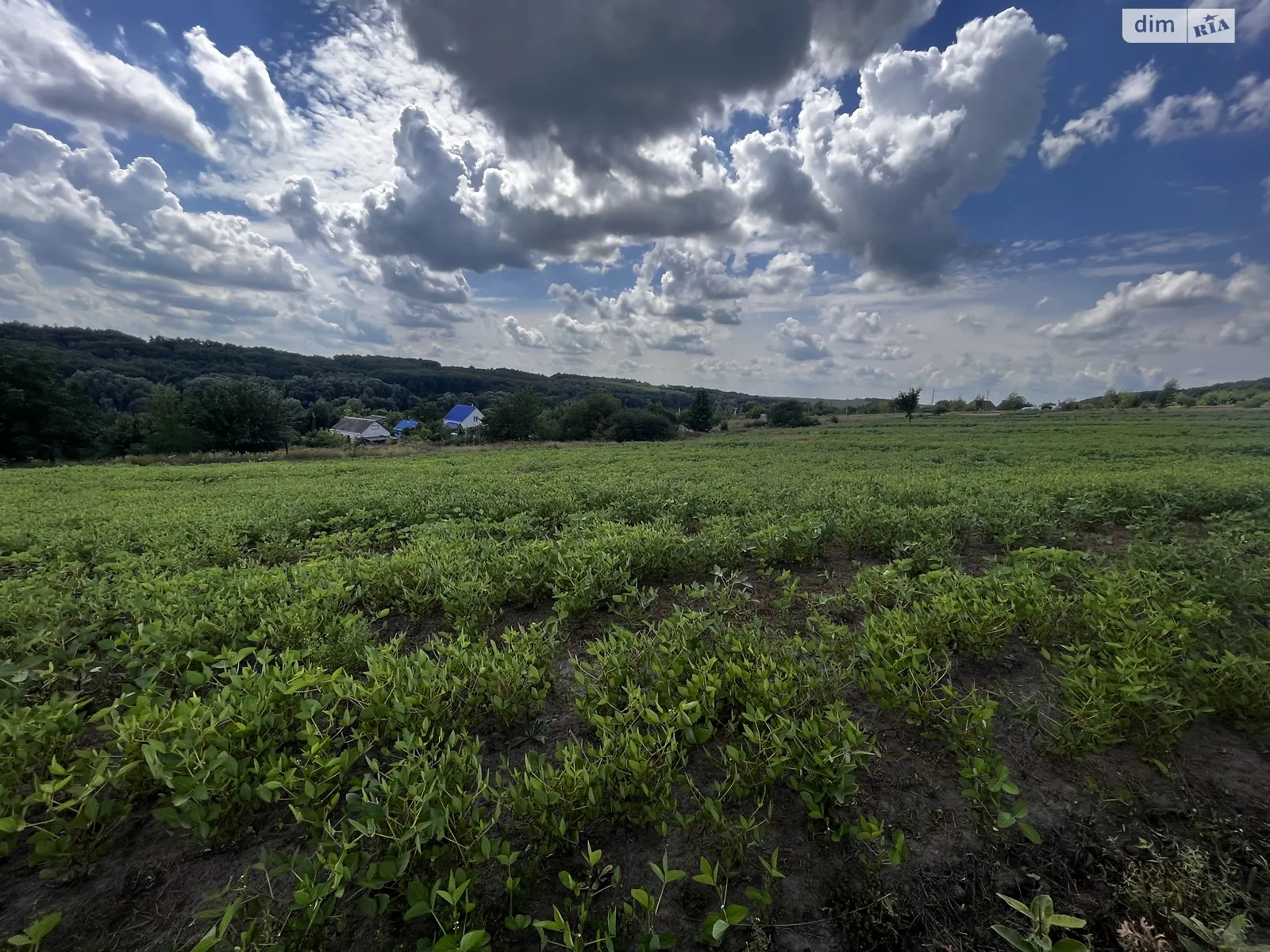 Продается земельный участок 35 соток в Киевской области - фото 2