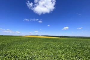 Земельные участки в Волочиске без посредников