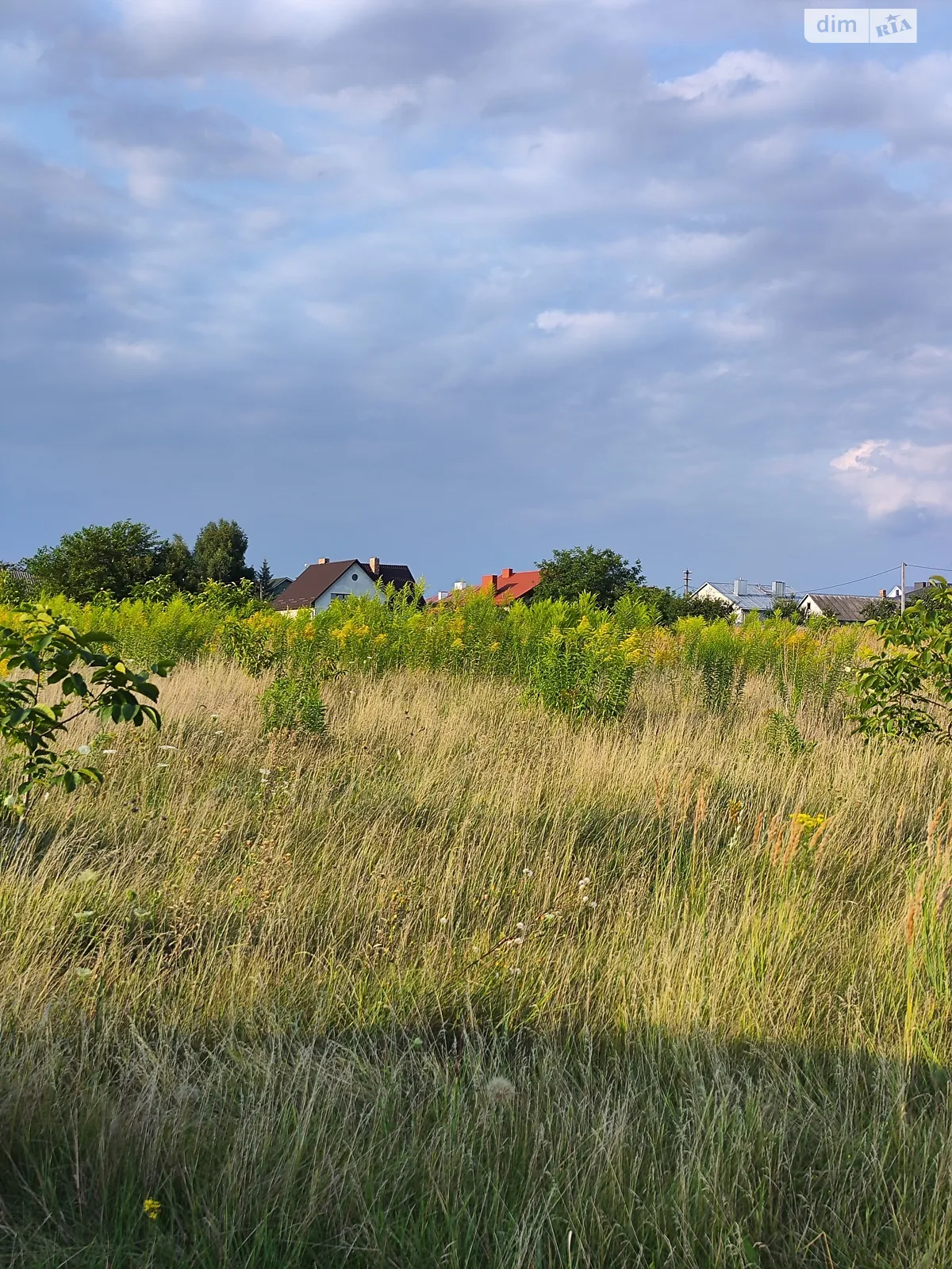 Продается земельный участок 23.32 соток в Ровенской области - фото 3