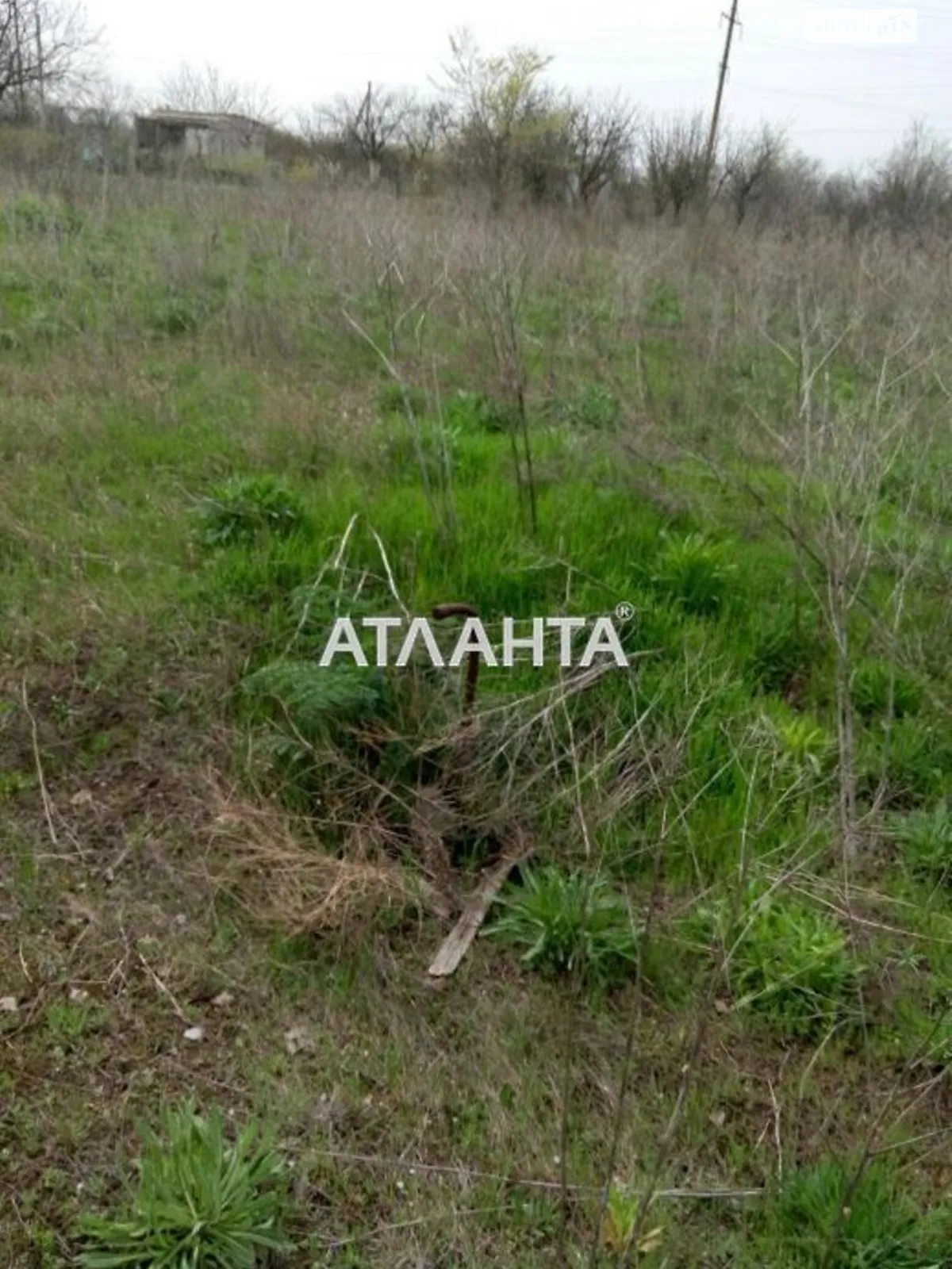 Продается земельный участок 7.23 соток в Одесской области - фото 3