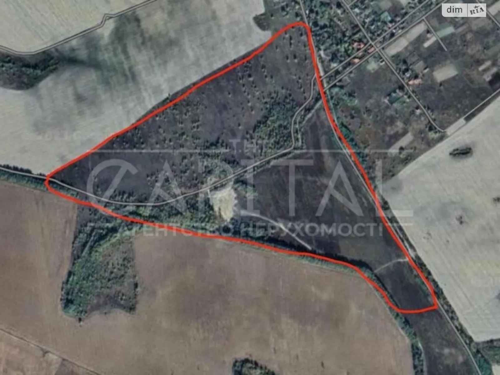Продається земельна ділянка 4600 соток у Київській області - фото 2