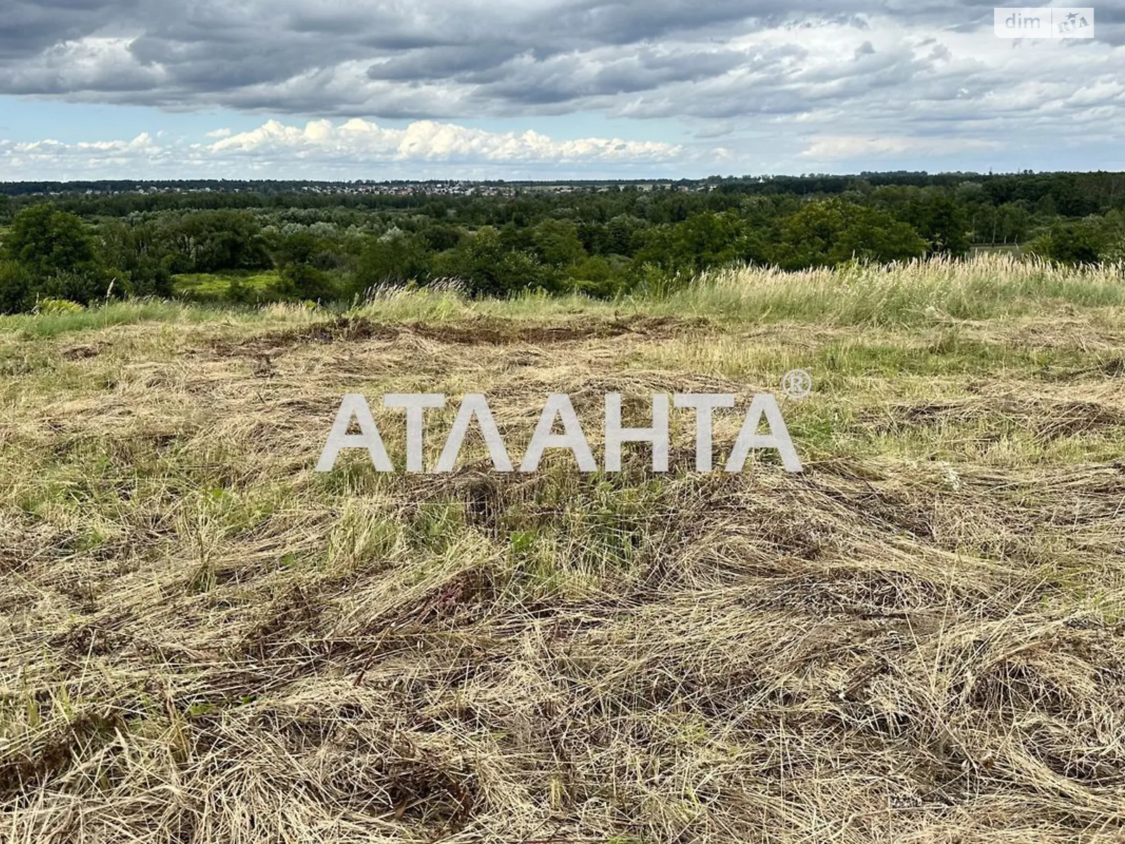 Продается земельный участок 16 соток в Львовской области - фото 2